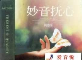 妙音怃心-纯音乐 2CD DTS