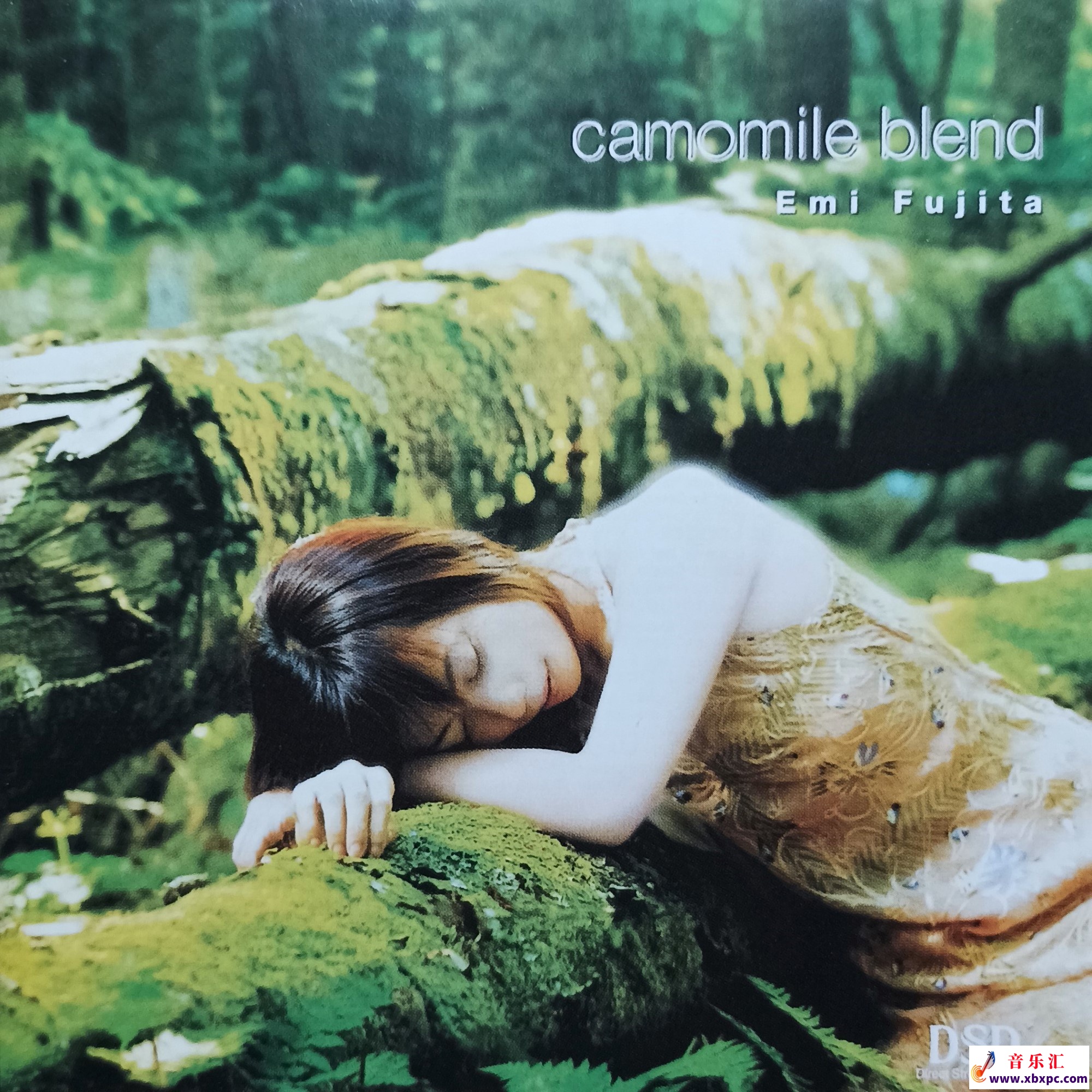 藤田恵美 - Camomile blend.jpg