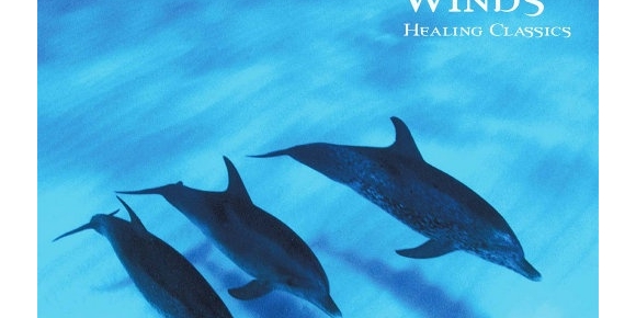 随风入梦 (For Healing) - 为不眠夜而作 (11.2MHz DSD) 2021 [索尼精选 DSD256]