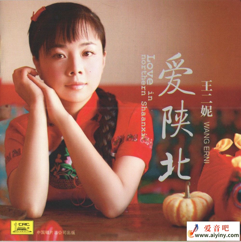 王二妮 爱陕北-COVER.jpg